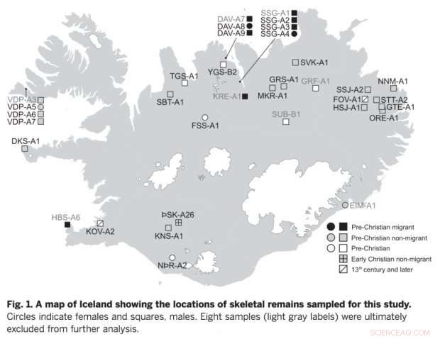 First Icelandic Genomes Unveiled: Scientists Map 1,000-Year-Old DNA