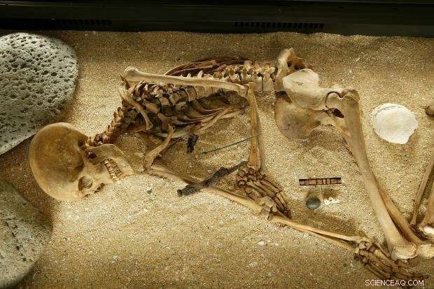 First Icelandic Genomes Unveiled: Scientists Map 1,000-Year-Old DNA