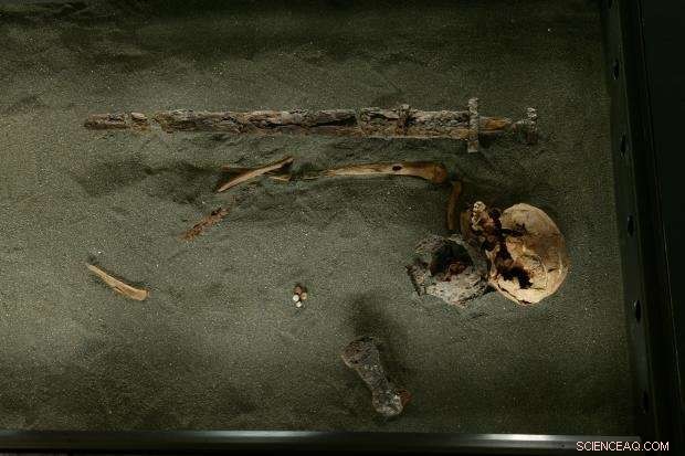First Icelandic Genomes Unveiled: Scientists Map 1,000-Year-Old DNA