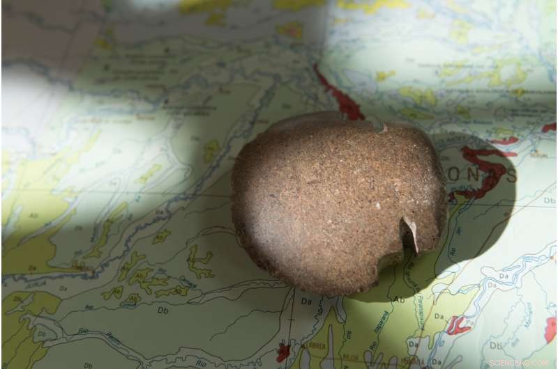 New Evidence Sheds Light on the Origins of Agriculture