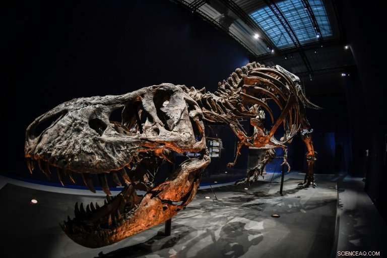 T. Rex Skeleton Takes Paris Botanical Garden by Storm – A Thrilling, Educational Exhibit