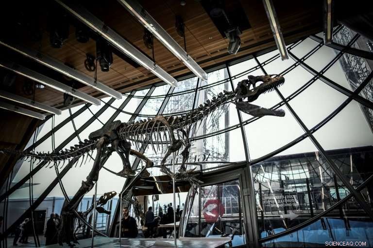 Historic 150‑Million‑Year‑Old Dinosaur Skeleton Sells for €2 Million
