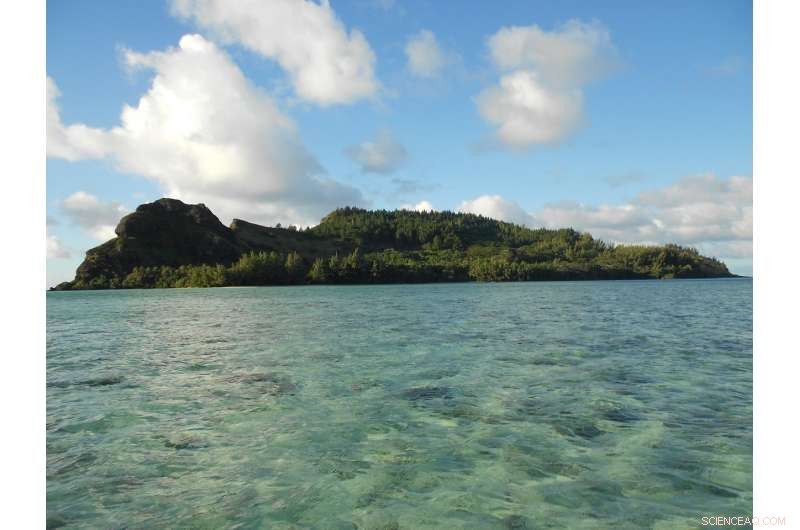 Uncovering 2,000 Years of Human Impact on Pacific Island Ecosystems Through Rat Fossil Analysis