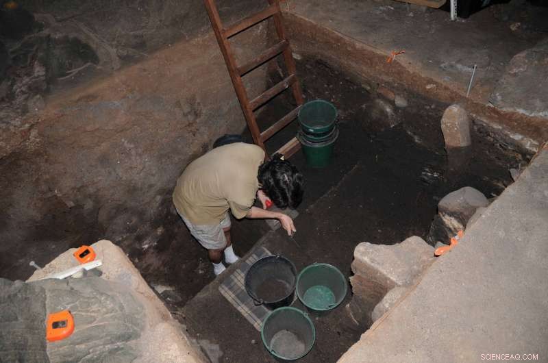 Uncovering 2,000 Years of Human Impact on Pacific Island Ecosystems Through Rat Fossil Analysis