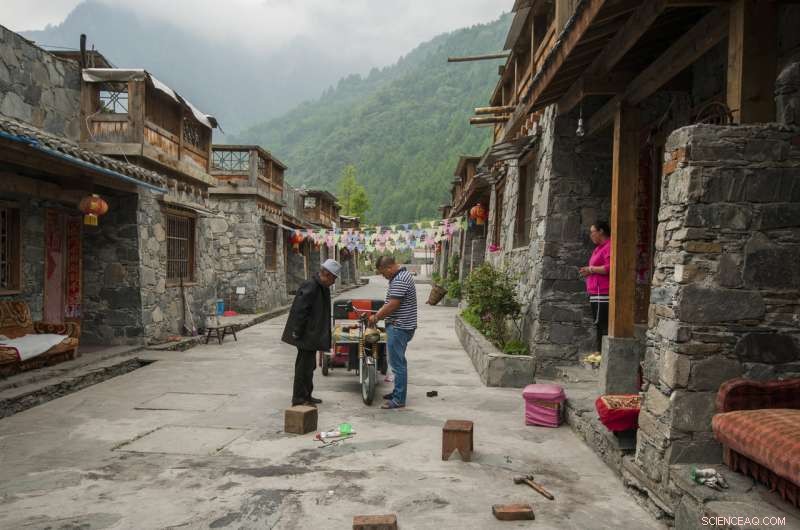 Rebuilding Livelihoods: The Key to Sustainable Disaster Recovery