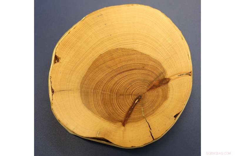 New Study Reveals Flaws in Radiocarbon Dating, Shaking Historical Timelines