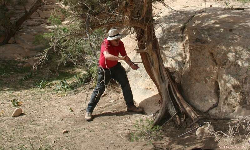 New Study Reveals Flaws in Radiocarbon Dating, Shaking Historical Timelines