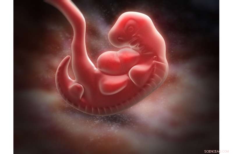 The Misleading Evidence That Misled Scientists for Decades