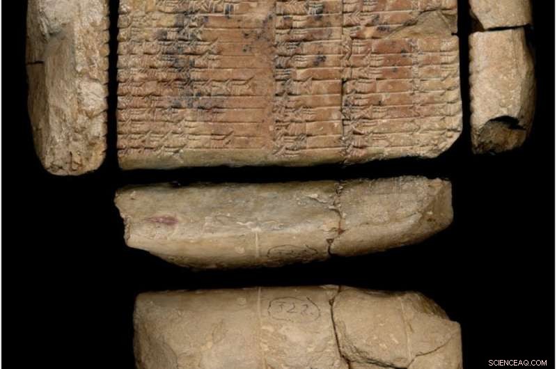 Tracing the Dawn of Counting: How Humans First Learned to Count