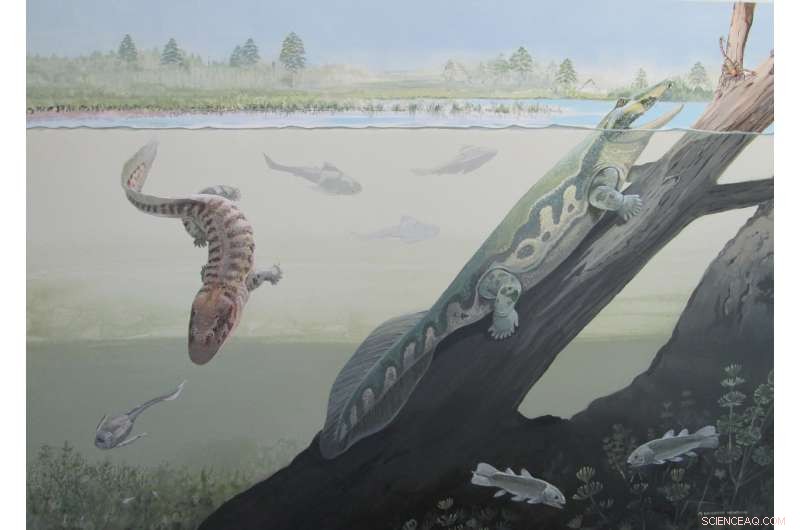 African Devonian Tetrapods Unearthed in Antarctica: First Land‑Dwelling Vertebrates on the Continent