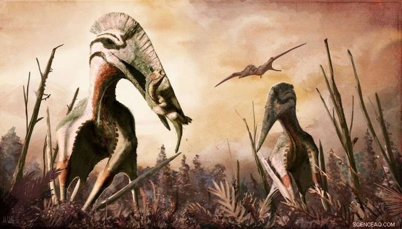Reassessing the Jurassic Diet: New Evidence Challenges What Ancient Pterosaurs Really Ate