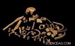 New Evidence Dates Homo antecessor to Nearly 1 Million Years Ago