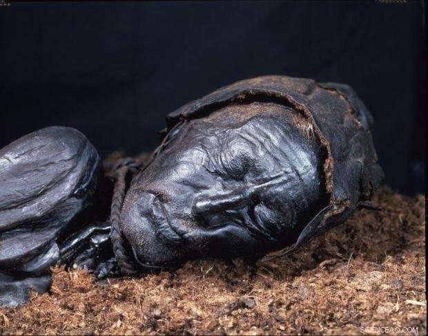 New Study Finds No Evidence That Europe’s Ancient Bog Bodies Were Homosexual