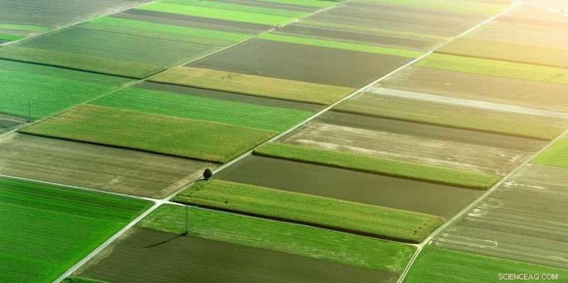 From Mesopotamia to Modern Farming: A Brief History of Agriculture