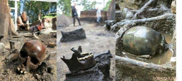 Archaeologists Reveal Dismal Iron Age Battlefield in Denmark, Uncovering 2,000‑Year‑Old Tragedy
