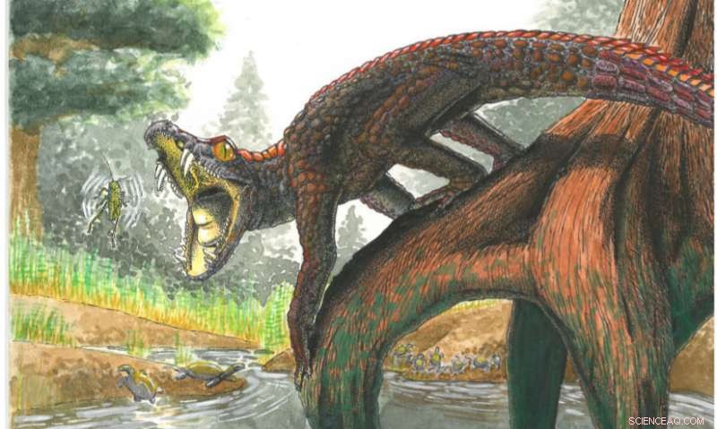 From Shartegosuchus to Modern Crocodylians: Tracing the Evolution of the Gaping Jaw