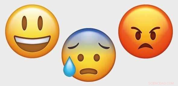 The Impact of Emotions on Workplace Performance and Satisfaction