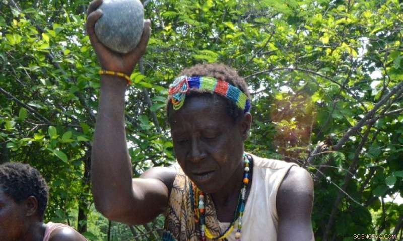 Revealing the Past: First 3‑D Analysis of Hadza Stone Tools