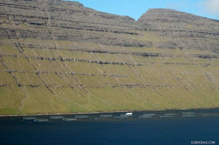 Faroese Women Lead Europe’s Birth Rates, Driven by Strong Family Bonds