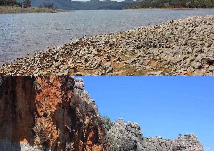 New Fossil Reveals Platypus‑Like Snouted Fish, Highlighting Coral Reefs as Long‑Standing Evolutionary Hotspots