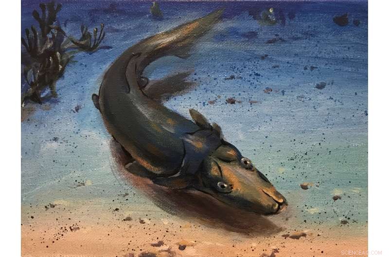 New Fossil Reveals Platypus‑Like Snouted Fish, Highlighting Coral Reefs as Long‑Standing Evolutionary Hotspots