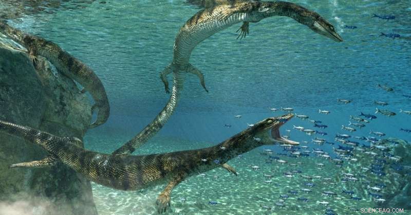 Newly Discovered Marine Lizard Species Sheds Light on 70‑Million‑Year‑Old Ocean Life