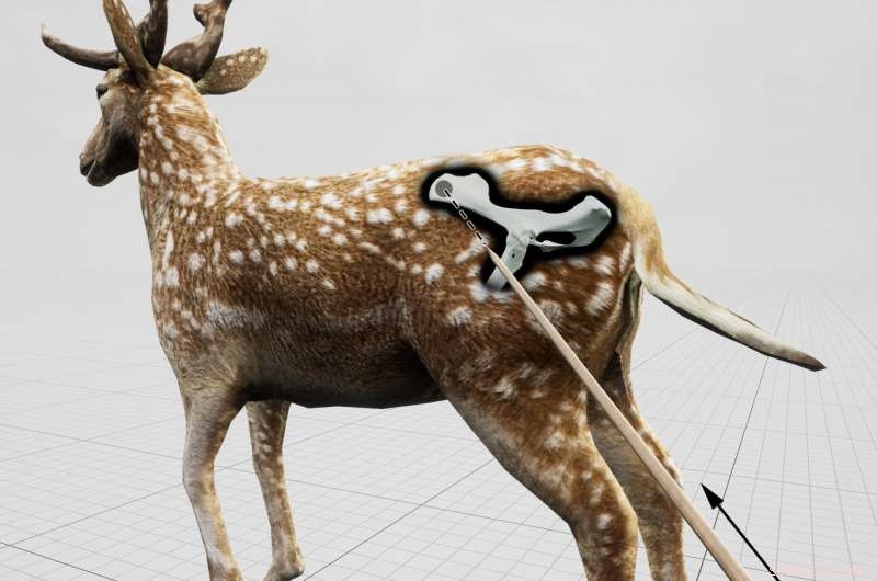 Study Reveals Neanderthals  Cooperative Hunting with Spears Up Close