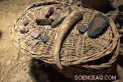 Unlocking the Hidden Costs of Palaeolithic Mobility and Resilience: Insights from the PALMOBI Project