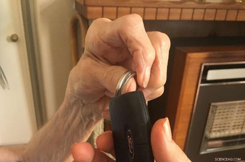 Discover the Award-Winning Beauty of Crab Blood Parasites – 2018 Research as Art Winner