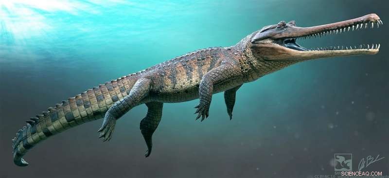 Thoracosaurus: The Ancient Reptile That Resembles a Modern Gharial