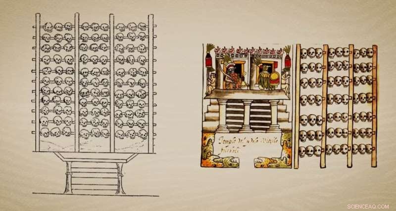 Skull Tower & Rack Unveil Early Aztec Human Sacrifice in Mexico City