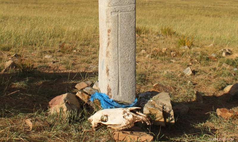 Mongolia Unearths Earliest Evidence of Horse Veterinary Care