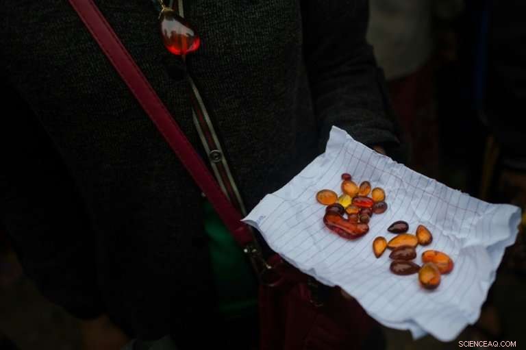 Paleontologists Seek Dinosaur Fossils Amid Myanmar s Conflict‑Ridden North