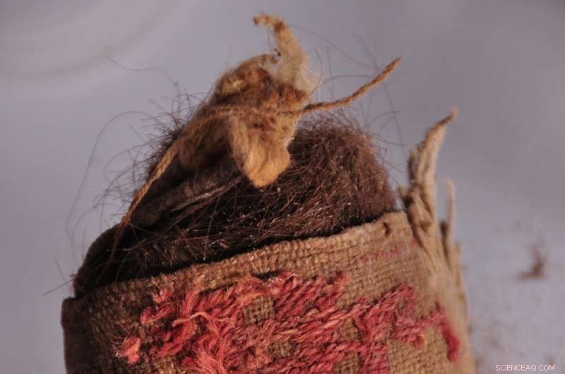 How Feasting Rituals Fostered Cooperation and Shaped Early Human Civilization