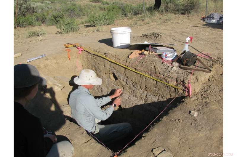 Ancient Chaco Canyon Residents Grew Their Own Food, New Study Reveals
