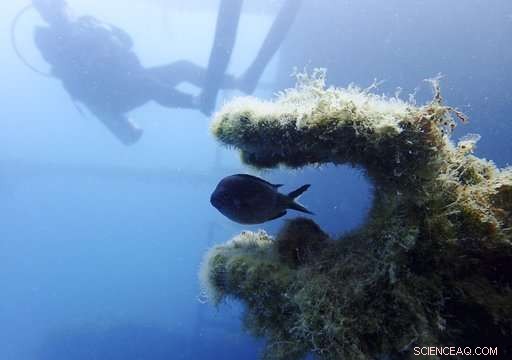 Archaeologists Urge Albania to Preserve its Rich Underwater Heritage