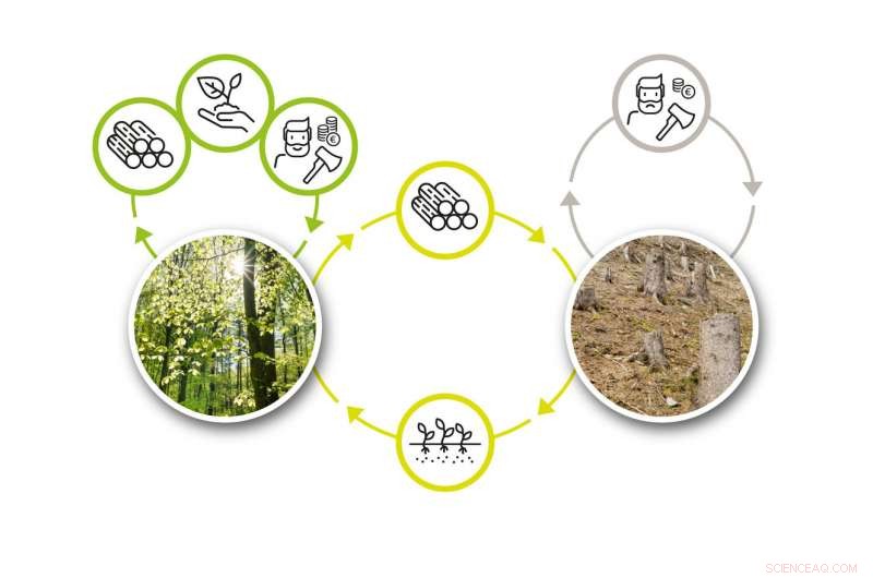 New Framework Empowers Systematic Cooperation and Advances Repeated Game Theory