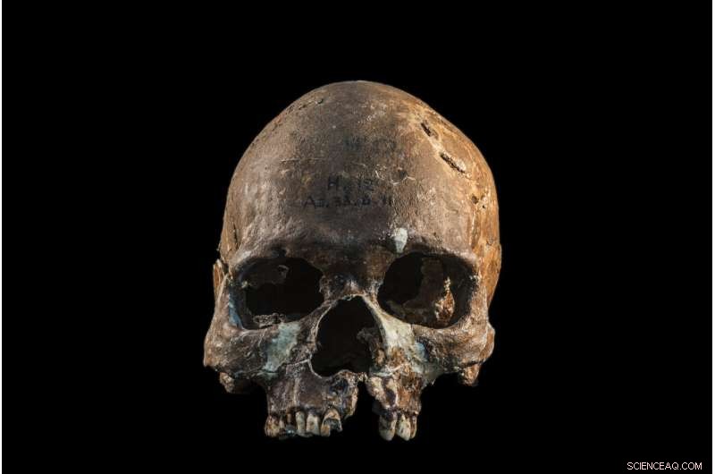Ancient DNA Confirms Origin of Southeast Asian Prehistory, Ending Century-Long Debate