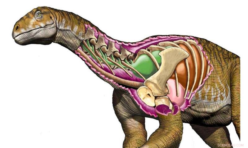 Argentina Finds 200-Million-Year-Old Giant Dinosaur Bones, Prompting a Reassessment of the Triassic