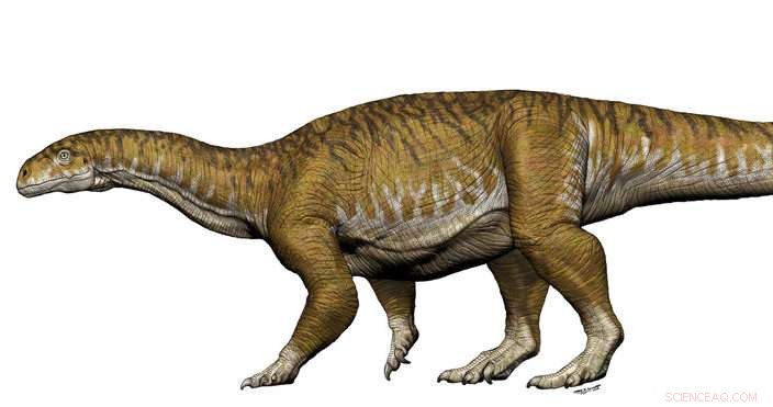 Argentina Finds 200-Million-Year-Old Giant Dinosaur Bones, Prompting a Reassessment of the Triassic