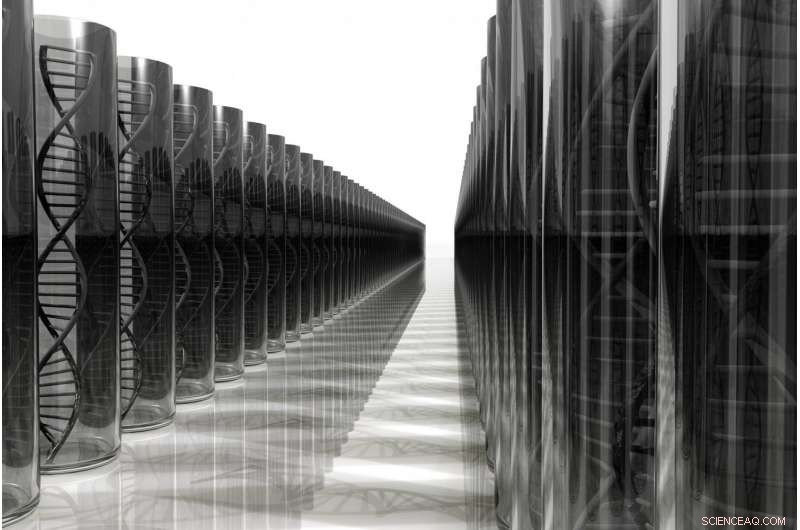 New Genetic Study Finds Variants That May Boost Life Success