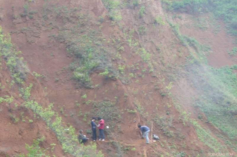 Ancient Chinese Tools Reveal Early Human Migration Out of Africa Earlier Than Believed