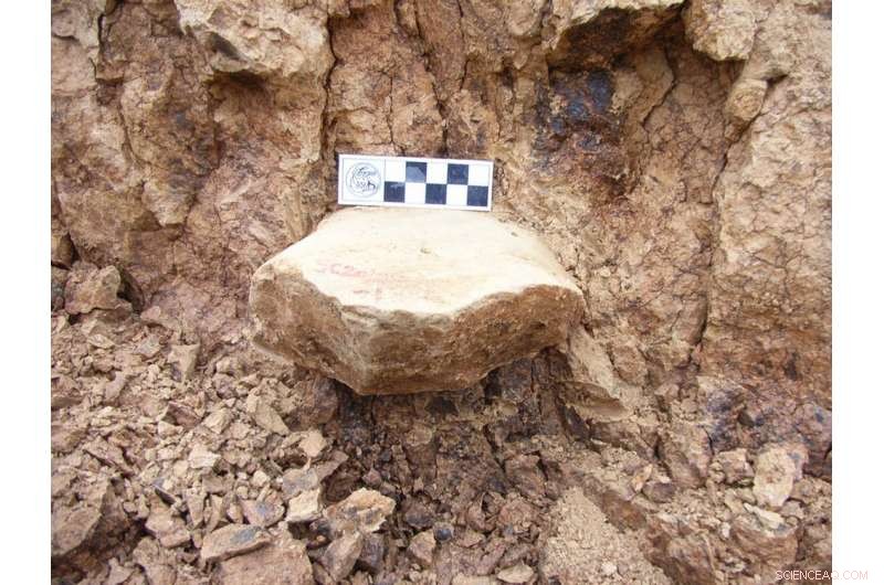 Human Journey from Africa Began Over 2 Million Years Ago – New Insights from Shangchen Stone Tools