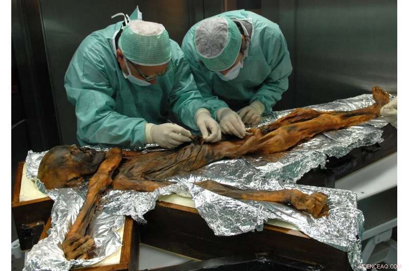 5,300-Year-Old Iceman s Final Meal Reveals Ancient High-Fat Diet