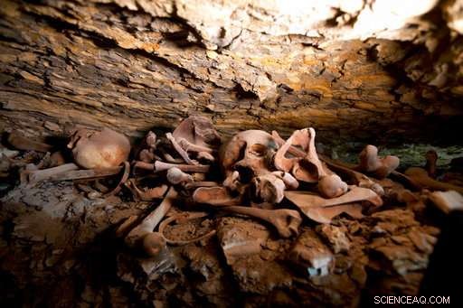 Egyptian Archaeologists Uncover 2,500-Year-Old Mummification Workshop Near Giza Pyramids