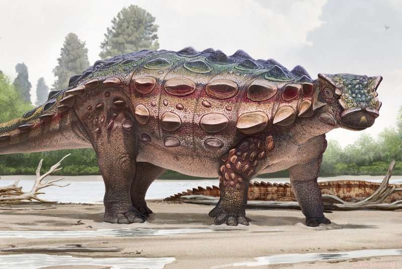 Newly Discovered Utah Ankylosaur, Akainacephalus johnsoni, Sheds Light on Dinosaur Family Tree