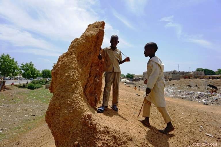 Population Growth and Political Tensions Endanger Kano’s Historic Walls