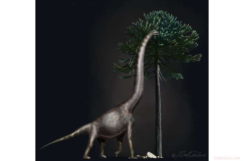 Scientists Uncover Record-Breaking Brachiosaur Foot, Largest Dinosaur Footever