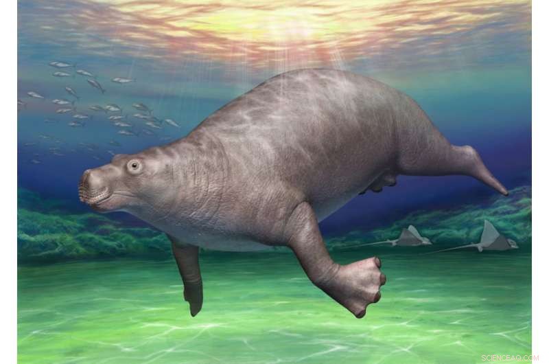 Rediscovered Dinosaur Bone Reveals Connection to Ancient Hippo‑Like Creature