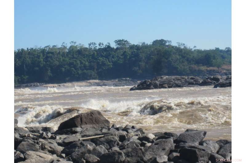 Archaeological Plant Remains Identify Southwest Amazonia as Crop Domestication Hub